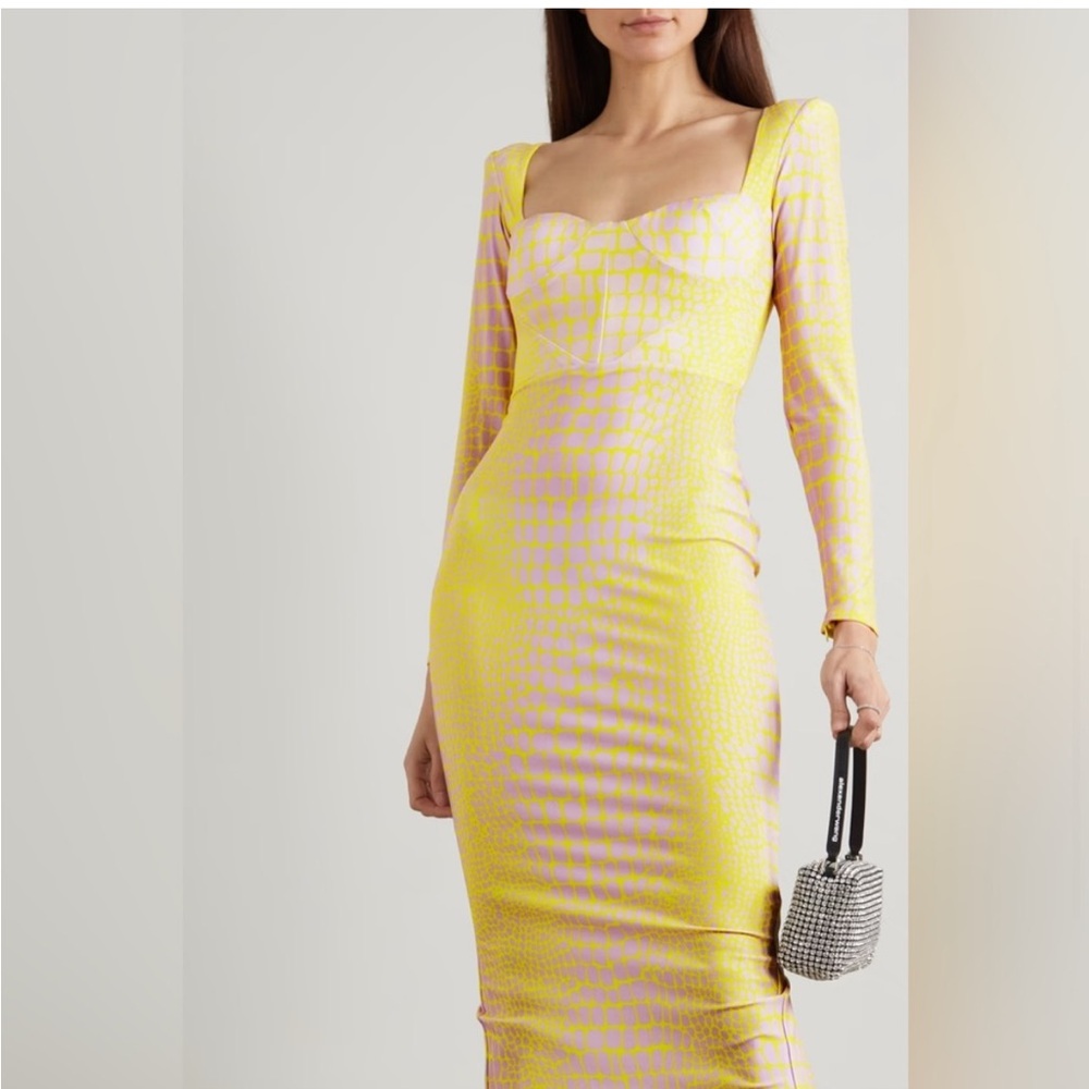 Alex Perry Lennon dress